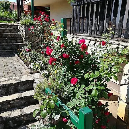 Апартаменты Bozic *