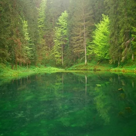 Bozic Apartman Vrbovsko