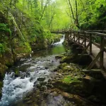 Bozic 아파트 브르보브스코