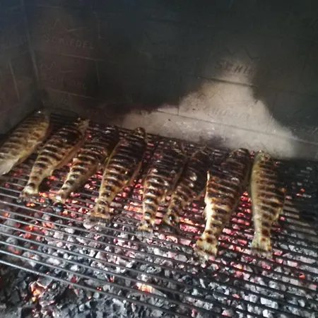 아파트 Bozic 브르보브스코