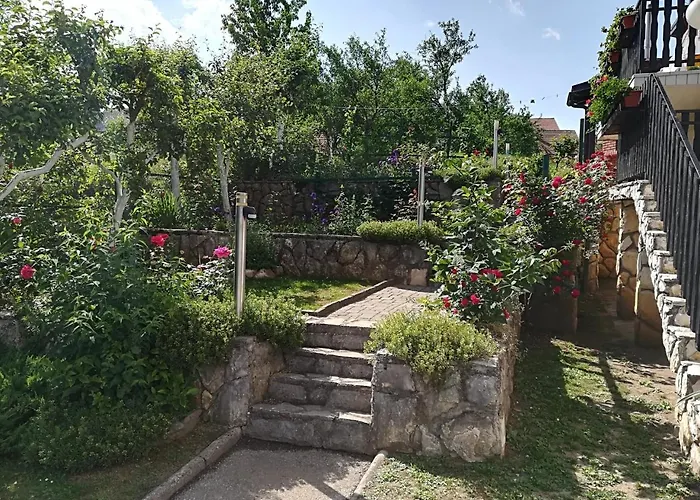 Bozic Apartamento